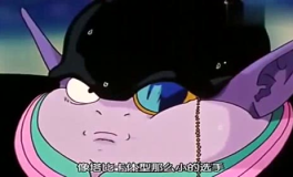吃瓜娱乐的喵,喵星人的吃瓜娱乐大揭秘