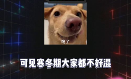 娱乐八卦吃瓜社,明星背后的那些事儿