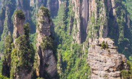 及巴马旅游指南及及《食物科学》专栏征稿：基于打算机视觉和深度进修的食物检测身手！南珠旅游网_南珠国旅官网_去游览找