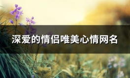 情侣网名 唯美,唯美情侣网名赏析”
